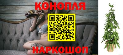 прущие крисы Абакан