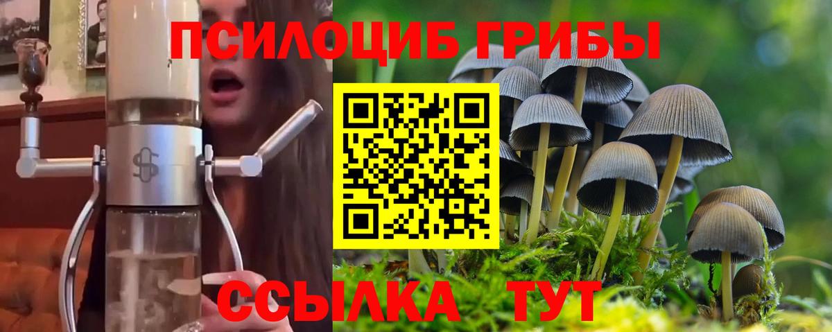 купить наркоту  Вход с VPN  Амурск  Галлюциногенные грибы Psilocybine cubensis 